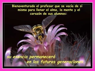 Bienaventurado el profesor que se vacía de sí mismo para llenar el alma, la mente y el corazón de sus alumnos:   su esencia permanecerá  en las futuras generaciones. 
