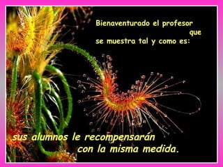 Bienaventurado el profesor  que se muestra tal y como es:   sus alumnos le recompensarán  con la misma medida. 