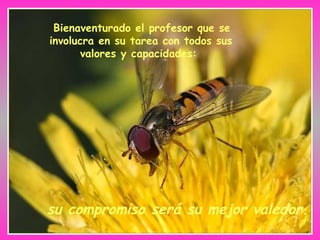 Bienaventurado el profesor que se involucra en su tarea con todos sus valores y capacidades:  su compromiso será su mejor valedor. 