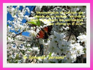 Bienaventurado el profesor que, además de su materia, aprende a llevar a la pizarra los sentimientos  que afloran en el aula:   le llamarán “persona”.   