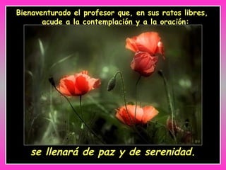 Bienaventurado el profesor que, en sus ratos libres, acude a la contemplación y a la oración:   se llenará de paz y de serenidad. 