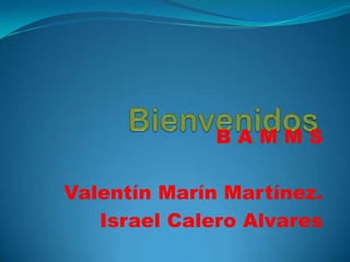 BAMMS

Valentín Marín Martínez.
   Israel Calero Alvares
 
