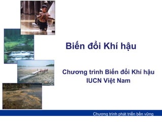 Biến đổi Khí hậu Chương trình Biến đổi Khí hậu IUCN Việt Nam 