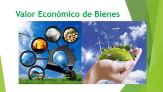 Valor Económico de Bienes
y servicios ambientales
 