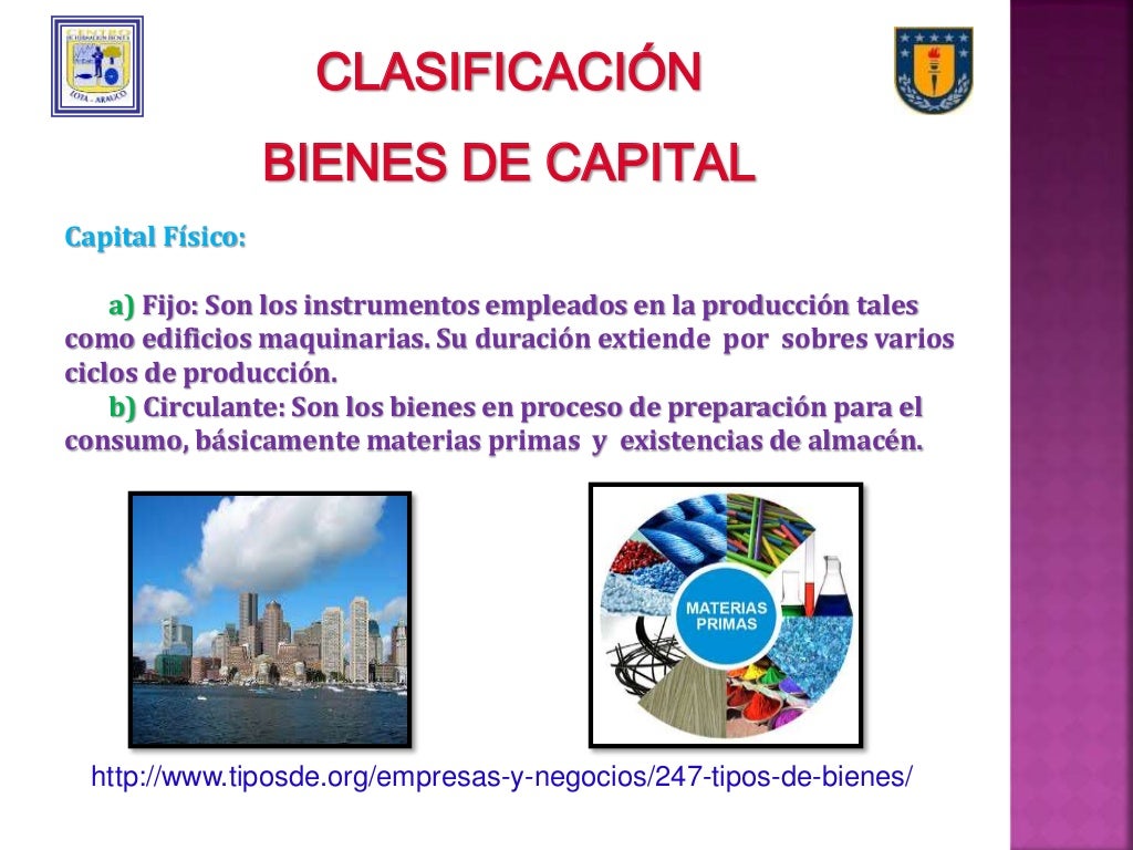 Bienes capital