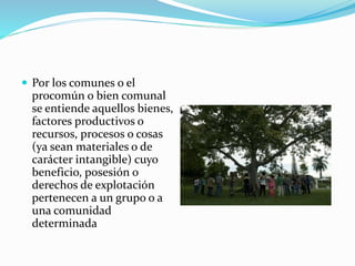  Por los comunes o el
procomún o bien comunal
se entiende aquellos bienes,
factores productivos o
recursos, procesos o cosas
(ya sean materiales o de
carácter intangible) cuyo
beneficio, posesión o
derechos de explotación
pertenecen a un grupo o a
una comunidad
determinada
 