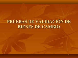 PRUEBAS DE VALIDACIÓN DE
    BIENES DE CAMBIO
 