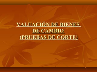 VALUACIÓN DE BIENES
     DE CAMBIO
 (PRUEBAS DE CORTE)
 