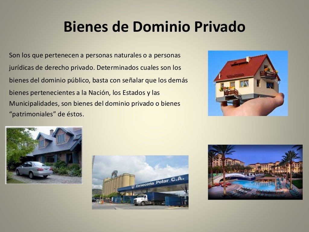Bienes del dominio publico y dominio privado Bienes del dominio publico y dominio privado