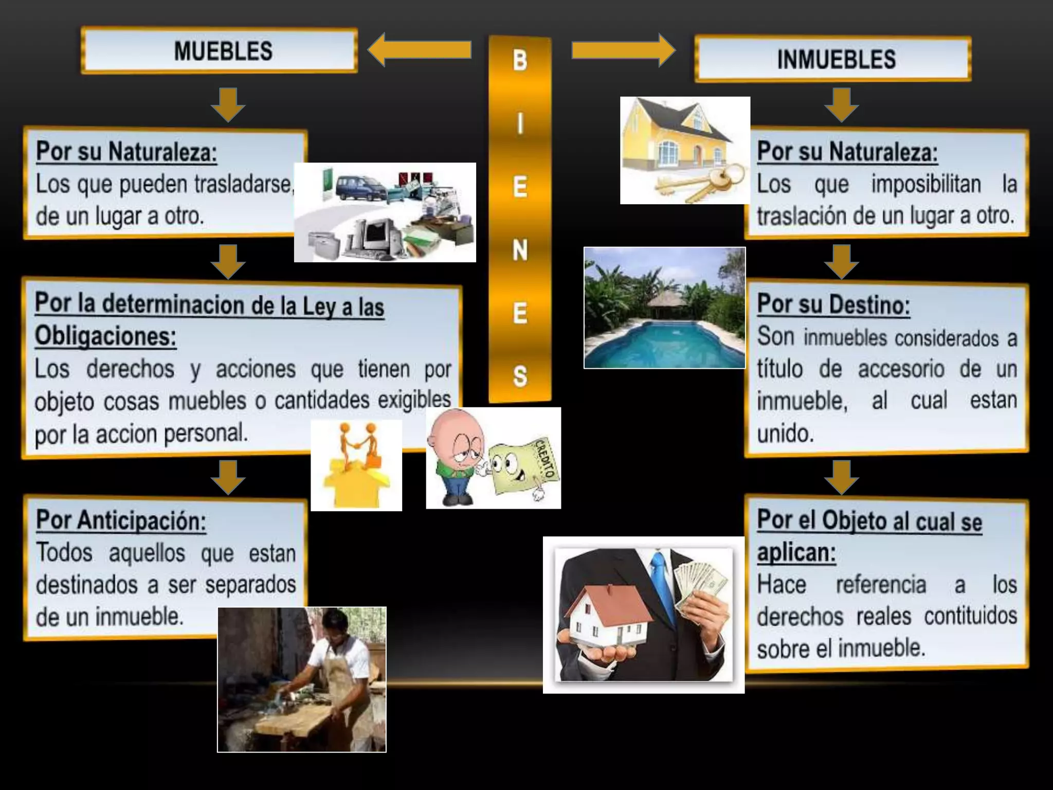 Bienes muebles e inmuebles