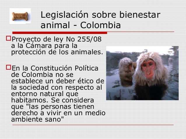 Bienestar animal