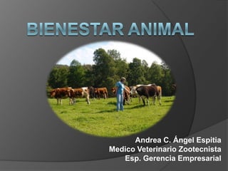 Andrea C. Ángel Espitia
Medico Veterinario Zootecnista
   Esp. Gerencia Empresarial
 
