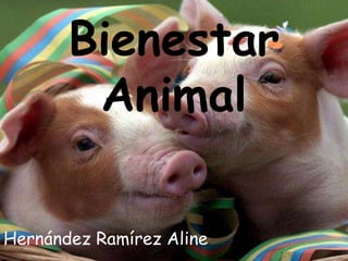 Bienestar
Animal
Hernández Ramírez Aline
 