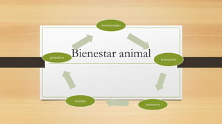 Bienestar animal
nutricionales
transporte
sanitarios
manejo
geneticos
 