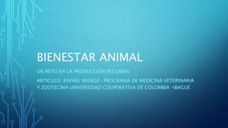 BIENESTAR ANIMAL
UN RETO EN LA PRODUCCIÓN PECUARIA
ARTICULO: RAFAEL MUÑOZ- PROGRAMA DE MEDICINA VETERINARIA
Y ZOOTECNIA UNIVERSIDAD COOPERATIVA DE COLOMBIA –IBAGUÉ
 