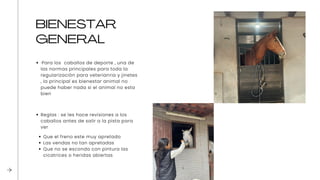 Bienestar animal en equino en veterinaria | PDF