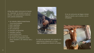 Bienestar animal en equino en veterinaria | PDF