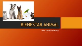BIENESTAR ANIMAL
POR: ANDREA RAMIREZ
 