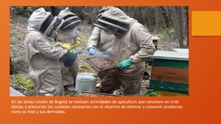 BIENESTAR ANIMAL EN LA APICULTURA COLOMBIANA | PPTX