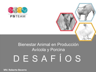 Bienestar Animal en Producción 
MV. Roberto Becerra 
Avícola y Porcina 
D E S A F Í O S 
 