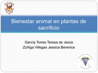 García Torres Teresa de Jesús
Zúñiga Villegas Jessica Berenice
Bienestar animal en plantas de
sacrificio
 