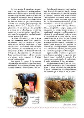 13Bienestar Animal: nuevo reto para la ganadería
Instalaciones
Muchos factores pueden generar estrés en los
animales y atentar contra su bienestar, desde
los potreros donde son criados y levantados,
hasta las mangas, bretes y corrales de trabajo.
Los animales deben contar con acceso
constante a una fuente de alimentación y agua
de buena calidad, que satisfaga sus requeri-
mientos nutricionales. Así mismo se les debe
proporcionar sombrío y protección frente a las
condiciones climáticas adversas, por ejemplo
el uso de barreras vivas y el silvopastoreo las
cuales favorecen esta condición.
Se debe procurar que las cercas estén en
buen estado; las mangas, bretes y corrales de
trabajo deben tener superficies lisas, sin sa-
lientes que puedan lesionar los animales. Los
pisos de los corrales deben tener superficies
antideslizantes y deben permitir un adecuado
drenaje, para minimizar las caídas y contusio-
nes de los bovinos.
Las instalaciones en las cuales se alojan o
se realizan prácticas con los animales deben
ser de fácil limpieza y mantenerse en condi-
ciones higiénicas.
Debido a la naturaleza del bovino, es más
fácil movilizar los animales a través de mangas
de diseño curvo cuando se requiere trabajar
un grupo o cuando sea necesario embarcar-
los. El diseño curvo de estas instalaciones es
ventajoso, ya que el animal avanza sin com-
plicaciones por que asume que está volviendo
al lugar de donde vino, además de no perca-
tarse de las prácticas que se están realizando
con los animales que van delante de él.
Es recomendable que las paredes de las
mangas estén totalmente cubiertas, esto faci-
lita el movimiento de los animales ya que se
eliminan las distracciones visuales como las
personas, sombras y otros elementos.
Las mangas deben ser lo suficientemente
angostas para que el animal no pueda darse
la vuelta, ni permitir que se atasquen dos ani-
males, lo cual resultaría en lesiones cuando
son forzados o se produce pánico. El ancho
del corredor para los bovinos debe ser de
aproximadamente 76 cm, dependiendo de la
raza y del tamaño.
Las instalaciones deben contar con un
sistema de iluminación natural o artificial uni-
forme, puesto que los animales huyen de la
oscuridad y se niegan a entrar a un área con
poca iluminación.
Instalaciones adecuadas.
 