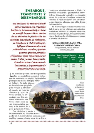 15Bienestar Animal: nuevo reto para la ganadería
Cuando los animales sean transportados
en vehículos tipo estaca, éstos deben estar en
condiciones mecánicas y estructurales ópti-
mas para el trasporte del ganado. La estruc-
tura de las paredes de los vehículos deben ser
lisas, sin aristas, puntas, ni salientes que pue-
dan generar daño o lesión a los animales.
El piso de los vehículos debe ser antides-
lizante, así mismo debe contar con una cama
confortable la cual puede ser de aserrín, viru-
ta, tamo o cualquier material blando similar.
El piso debe estar diseñado de tal forma que
impida el derramamiento de orina, heces y
cama en las vías.
Es recomendable embarcar y transportar
el ganado en las horas más frescas del día,
bien en la madrugada o si así se requiere en
las horas de la noche, ya que el calor excesi-
vo genera estrés en los animales. Los vehícu-
los han de contar con un techo que proteja
a los animales del sol y la lluvia, y deberán
disponer de un sistema de ventilación natural
o artificial adecuado, dependiendo del tipo
de vehículo, raza, edad, tamaño y número de
animales transportados.
El viaje se deberá planificar con anterio-
ridad, considerando los tiempos y horarios
de todos los eventos. Es conveniente que
los conductores conozcan de antemano las
rutas. Es necesario que los animales duran-
te el viaje sean acompañados por otra per-
sona diferente al conductor, que conozca
los principios del bienestar animal y debe
procurar por el bienestar de los mismos
durante el embarque, transporte y desem-
barque de los animales. Los animales de-
ben ser constantemente vigilados durante
el viaje, haciendo paradas periódicas para
revisar su condición.
Hay que evitar giros bruscos al tomar las
curvas, las frenadas en seco y conducir a una
velocidad prudente.
La duración del viaje debe ser de un máxi-
mo de 10 horas, en caso de prolongarse, los
animales deben ser descargados y se les brin-
dará alimento y agua, debiendo reposar por
12 horas antes de reanudar el viaje. Durante
el trasporte evitar la privación de agua por no
más de 6 horas.
Las rampas de carga y descarga de bo-
vinos tendrán una inclinación máxima de 20
grados. Deben ser construidas con peldaños
de 9 cm de altura por 30 a 40 cm de largo,
y tener pisos antideslizantes. Facilita la car-
ga y descarga el que los animales caminen
antes de bajar o subir una rampa, por esto
debe existir una plataforma horizontal de 2
a 3 metros.
Diseño de rampas
de carga y descarga
de animales.
 