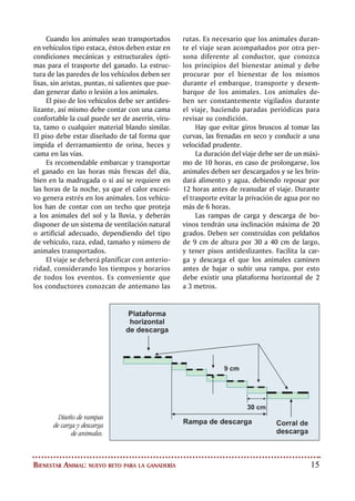 16
SACRIFICIO
Un aspecto fundamental
del bienestar animal hace
referencia al sacrificio de
los animales. Es un deber
ético sacrificar en forma
humanitaria a los animales con
destino al consumo humano.
Al arribo al frigorífico los animales deben
ser alojados en corrales dispuestos para
tal fin, cuyo diseño y estructura respetarán
los principios del Bienestar Animal. Se debe
evitar mezclar animales procedentes de dife-
rentes lotes, así como machos y hembras, y
animales con cuernos. Los animales descansa-
rán mínimo 12 horas, así mismo los animales
tendrán agua a disposición y serán alimenta-
dos, en caso de ser necesario.
Para movilizar los animales al área de in-
sensibilización se deben seguir los principios
de zona de fuga y punto de balance, evitando
procedimientos ruidosos y maltrato a los ani-
males. En su lugar pueden utilizarse ayudas
como palos con banderas, bolsas plásticas in-
fladas o lonas vacías
Insensibilización
La insensibilización es el procedimiento para
causar inconciencia a los animales que van a
ser sacrificados. Su objetivo es lograr que los
animales pierdan instantáneamente la con-
ciencia y no la recuperen antes del sangrado,
de manera que no sientan dolor y se facilite
su manejo.
Es muy importante que los animales
destinados al sacrificio sean inmovilizados
apropiadamente antes de la insensibiliza-
ción. Esto tiene como objetivo asegurar la
estabilidad del animal para que el aturdi-
miento se realice correctamente. El cajón
de aturdimiento es el método más común
para inmovilizar al ganado, este debe ser
lo suficientemente angosto para evitar que
el animal se dé vuelta, lo cual dificultaría
su aturdimiento. El piso del cajón será an-
tideslizante.
Los animales no deben permanecer por
períodos prolongados en un dispositivo de
inmovilización, el aturdimiento se realiza in-
mediatamente se hayan sujetado.
Independientemente del método de in-
sensibilización que se utilice, se requiere
que el animal permanezca insensible por un
tiempo suficiente que permita una muerte sin
dolor. Algunos métodos de insensibilización
usados en ganado bovino son la percusión y
la electricidad.
Desangrado
El desangrado es la parte del sacrificio en
que se cortan los principales vasos sanguí-
neos del cuello para permitir que la sangre
drene del cuerpo, produciéndose la muerte
por anoxia cerebral. Los cuchillos emplea-
dos en esta labor deben estar afilados, ya
que un cuchillo romo agranda la incisión
y los extremos cortados de los vasos san-
guíneos quedan lesionados, ocasionando
la coagulación prematura que los bloquea.
Debido a esto el sangrado se alarga y retar-
da la muerte del animal.
Las incisiones deben ser rápidas y preci-
sas. En todos los cortes, la vena yugular y la
Pistola de
aturdimiento.
 