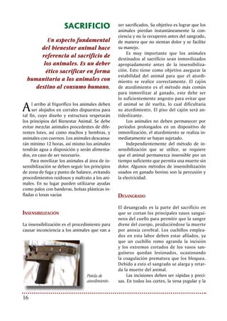 17Bienestar Animal: nuevo reto para la ganadería
arteria carótida se seccionarán por completo.
Si algunos vasos no se cortan, el sangrado
será incompleto, quedando retenida gran
cantidad de sangre en órganos y tejidos, oca-
sionando que la carne se deteriore antes de
tiempo.
El tiempo máximo que transcurre entre
la insensibilización y el sangrado no debe ser
superior a un minuto.
La mala insensibilización, así como el
tiempo prolongado entre esta y la sangría,
puede provocar además de sufrimiento a los
animales, problemas en la calidad de la car-
ne; si se demora el sangrado, se aumenta la
presión sanguínea y la ruptura de vasos, pro-
duciéndose hemorragias musculares. Esta
sangre adicional en los músculos favorece la
contaminación microbiana, la posterior des-
composición de la carne y afecta de manera
notoria la calidad e inocuidad del producto.
Faenado en planta de beneficio.
 