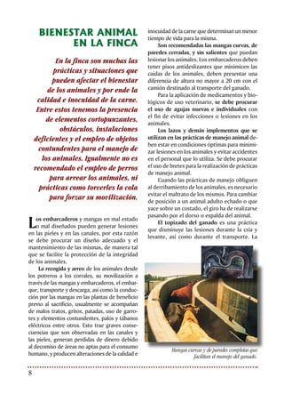 Bienestar Animal: nuevo reto para la ganadería
presencia de cuernos en los animales aumen-
ta las contusiones y el estrés de los mismos
cuando son transportados. Sin embargo,
prácticas como el topizado, descorne, castra-
ción y marcación del ganado generan estrés y
dolor en los animales. Estas prácticas deben
ser realizadas únicamente por personal bien
entrenado, y nunca deben realizarse de ma-
nera conjunta. La castración y el topizado de
los animales ha de efectuarse lo más pronto
posible (no superando los seis meses). Duran-
te estos procedimientos se deben mantener
medidas de higiene adecuadas para evitar in-
fecciones en los animales.
En los sistemas de producción intensiva
reviste gran importancia la disponibilidad de
espacio para los animales, la protección con-
tra las inclemencias del clima, el número y el
espacio de comederos y bebederos, así como
la disponibilidad de agua y alimento de calidad
óptima para su mantenimiento y desarrollo. En
este caso el tipo de piso tiene una relevancia
mayor debido a las posibles lesiones que se ge-
neran en las pezuñas en pisos duros como el
de concreto, y por la suciedad que se pueda
acumular en el caso de camas blandas.
El comportamiento del
bovino y su manejo
El conocimiento de la naturaleza y el
comportamiento del ganado bovino son
fundamentales para el establecimiento de
Buenas Prácticas de Bienestar Animal.
Se debe procurar
el uso de agujas
nuevas y
desechables, así como
lazos e implementos
en buen estado.
Uso de corrales y
bretes adecuados
 