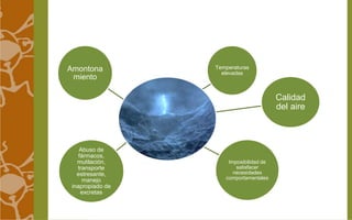 Amontona 
miento 
Temperaturas 
elevadas 
Calidad 
del aire 
Imposibilidad de 
satisfacer 
necesidades 
comportamentales 
Abuso de 
fármacos, 
mutilación, 
transporte 
estresante, 
manejo 
inapropiado de 
excretas 
 
