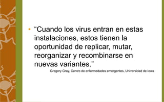 • “Cuando los virus entran en estas 
instalaciones, estos tienen la 
oportunidad de replicar, mutar, 
reorganizar y recombinarse en 
nuevas variantes.” 
Gregory Gray, Centro de enfermedades emergentes, Universidad de Iowa 
 