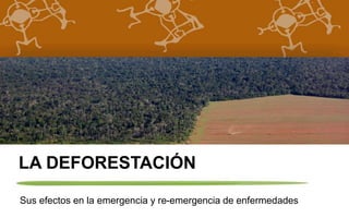 LA DEFORESTACIÓN 
Sus efectos en la emergencia y re-emergencia de enfermedades 
 