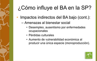 ¿Cómo influye el BA en la SP? 
• Impactos indirectos del BA bajo (cont.): 
– Amenazas al bienestar social 
• Desempleo, ausentismo por enfermedades 
ocupacionales 
• Pérdidas culturales 
• Aumento de vulnerabilidad económica al 
producir una única especie (monoproducción). 
 
