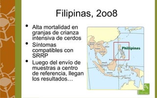Filipinas, 2oo8 
• Alta mortalidad en 
granjas de crianza 
intensiva de cerdos 
• Síntomas 
compatibles con 
SRRP 
• Luego del envío de 
muestras a centro 
de referencia, llegan 
los resultados… 
 