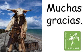 Muchas 
gracias… 
