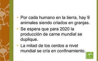 • Por cada humano en la tierra, hay 9 
animales siendo criados en granjas. 
• Se espera que para 2020 la 
producción de carne mundial se 
duplique. 
• La mitad de los cerdos a nivel 
mundial se cría en confinamiento. 
 