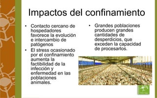 Impactos del confinamiento 
• Contacto cercano de 
hospedadores 
favorece la evolución 
e intercambio de 
patógenos 
• El stress ocasionado 
por el confinamiento 
aumenta la 
factibilidad de la 
infección y 
enfermedad en las 
poblaciones 
animales. 
• Grandes poblaciones 
producen grandes 
cantidades de 
desperdicios, que 
exceden la capacidad 
de procesarlos. 
 
