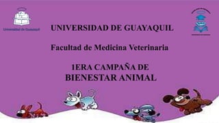 UNIVERSIDAD DE GUAYAQUIL
Facultad de Medicina Veterinaria
1ERA CAMPAÑA DE
BIENESTAR ANIMAL
 