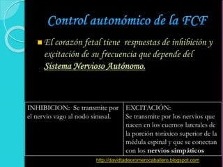  El corazón fetal tiene respuestas de inhibición y
excitación de su frecuencia que depende del
Sistema Nervioso Autónomo.
http://davidtadeoromerocaballero.blogspot.com
 