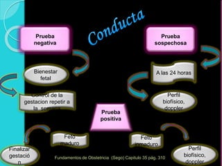 Prueba
negativa
Bienestar
fetal
Control de la
gestacion repetir a
la semana
Finalizar
gestació
n
Prueba
sospechosa
A las 24 horas
Perfil
biofísico,
doppler
Fundamentos de Obstetricia (Sego) Capitulo 35 pág. 310
Perfil
biofísico,
doppler
Feto
maduro
Feto
inmaduro
Prueba
positiva
 