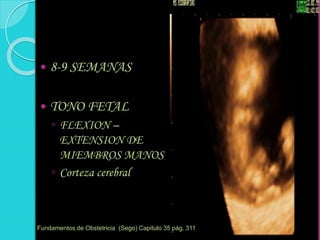  8-9 SEMANAS
 TONO FETAL
◦ FLEXION –
EXTENSION DE
MIEMBROS MANOS
◦ Corteza cerebral
Fundamentos de Obstetricia (Sego) Capitulo 35 pág. 311
 