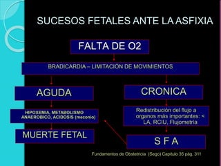 FALTA DE O2
BRADICARDIA – LIMITACIÓN DE MOVIMIENTOS
AGUDA
HIPOXEMIA, METABOLISMO
ANAEROBICO, ACIDOSIS (meconio)
MUERTE FETAL
CRONICA
Redistribución del flujo a
organos más importantes: <
LA, RCIU, Flujometría
S F A
SUCESOS FETALES ANTE LA ASFIXIA
Fundamentos de Obstetricia (Sego) Capitulo 35 pág. 311
 
