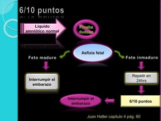 Juan Haller capitulo 4 pág. 60
 