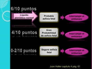 Juan Haller capitulo 4 pág. 61
 