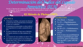 Ila Normal BIENESTAR FETAL 2025-I (1).pptx- anatomia uterina | PPTX