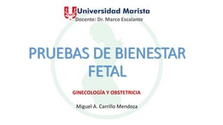 PRUEBAS DE BIENESTAR
FETAL
Miguel A. Carrillo Mendoza
GINECOLOGÍA Y OBSTETRICIA
Docente: Dr. Marco Escalante
 