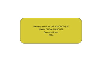 Bienes y servicios del AGROBOSQUE
NIXON CUEVA MARQUEZ
Docente titular
2014

 
