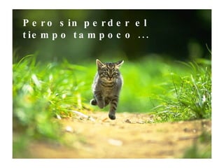 Pero sin perder el tiempo tampoco ... 