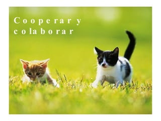 Cooperar y colaborar 